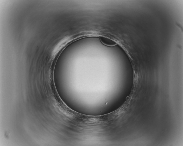 X0000101980151200807251241