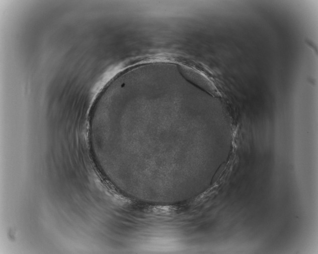 X0000101980152200807251241