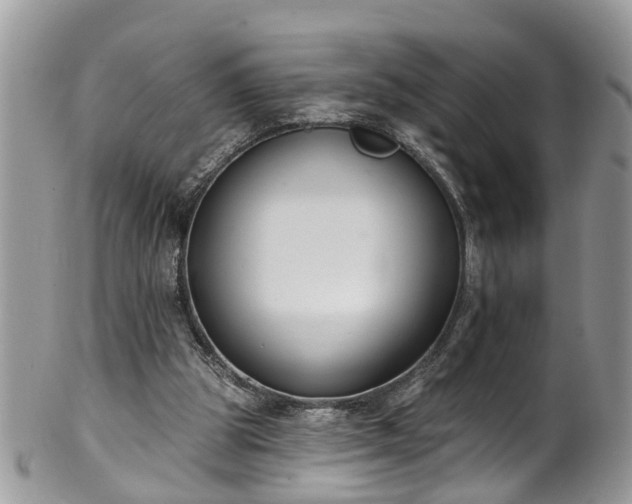 X0000101980153200807251241