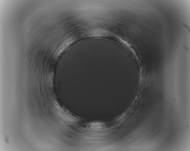 X0000101980154200807251241