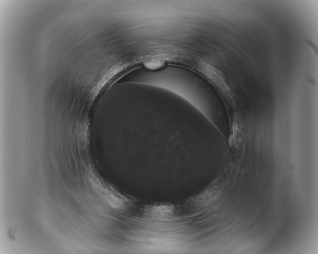 X0000101980156200807251241