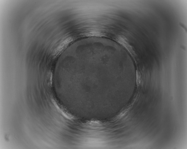 X0000101980157200807251241