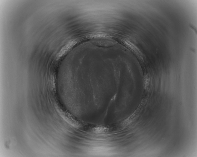 X0000101980158200807251241