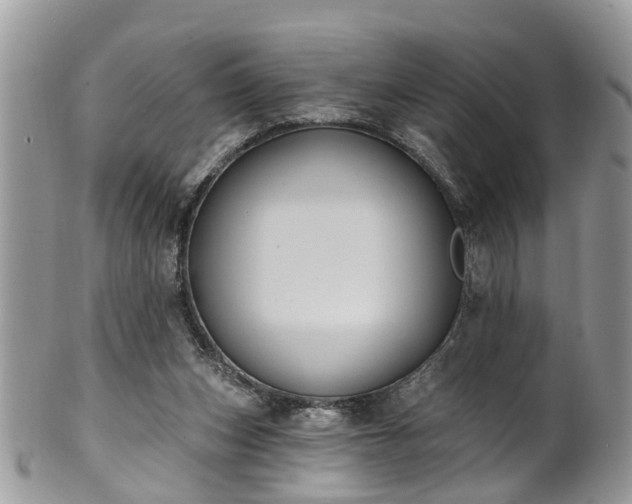 X0000101980159200807251241