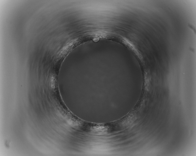 X0000101980161200807251241