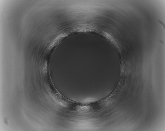 X0000101980163200807251241