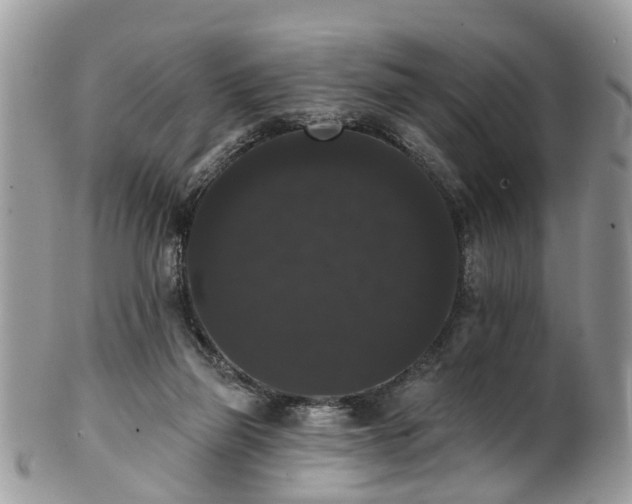 X0000101980165200807251241