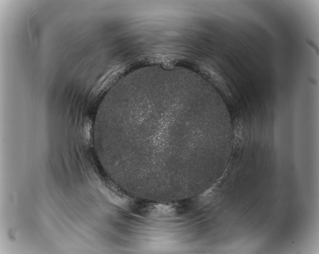 X0000101980166200807251241