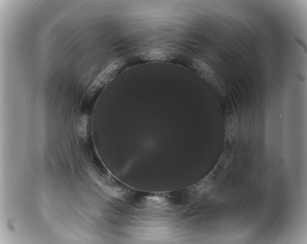 X0000101980167200807251241