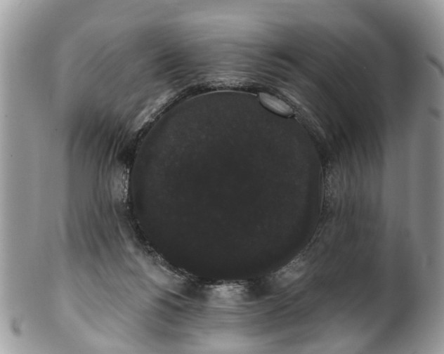 X0000101980168200807251241