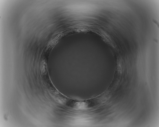 X0000101980169200807251241