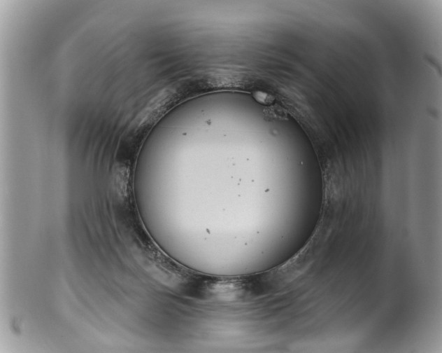 X0000101980171200807251241