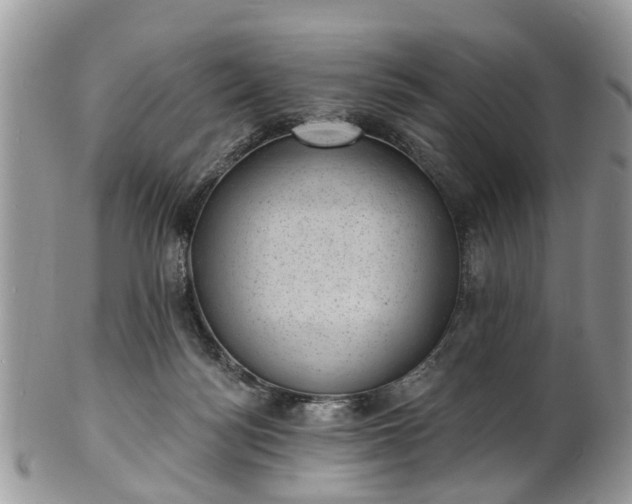 X0000101980172200807251241