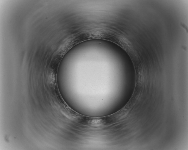 X0000101980173200807251241