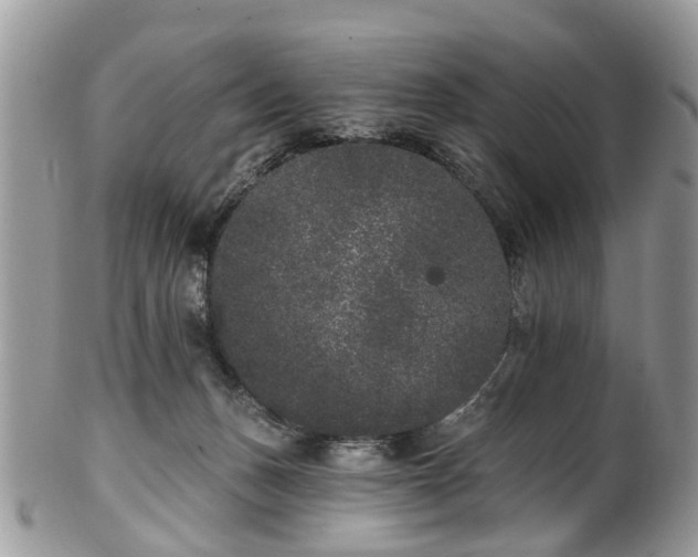 X0000101980175200807251241