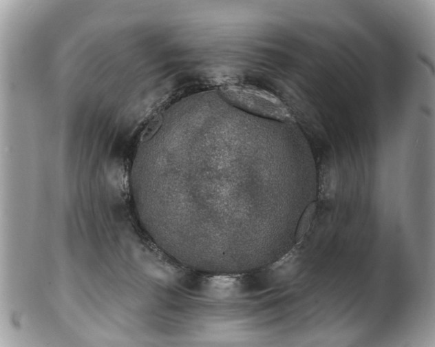 X0000101980176200807251241