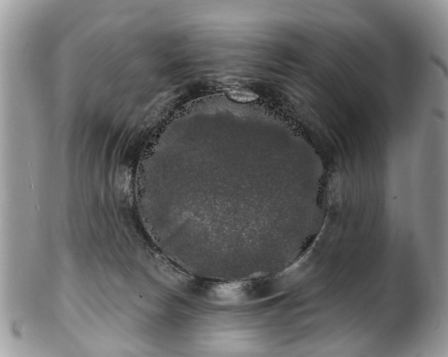 X0000101980178200807251241