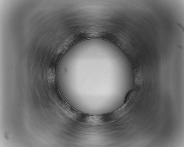 X0000101980179200807251242