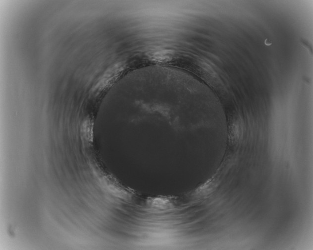 X0000101980180200807251242