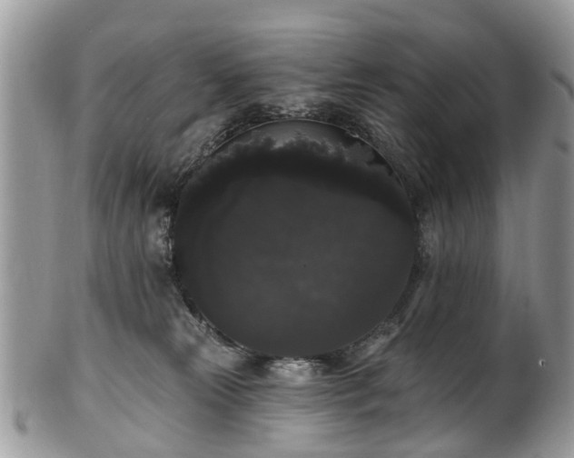 X0000101980181200807251242