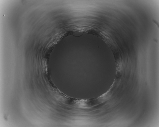 X0000101980182200807251242