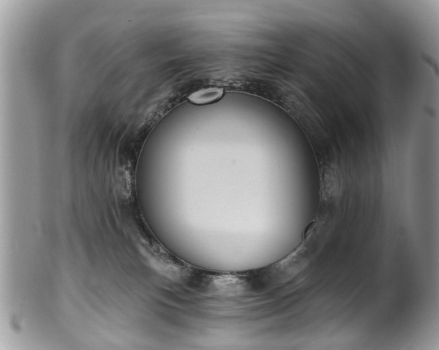 X0000101980183200807251242