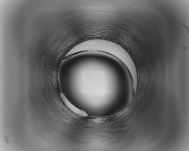 X0000101980184200807251242