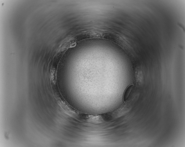 X0000101980185200807251242