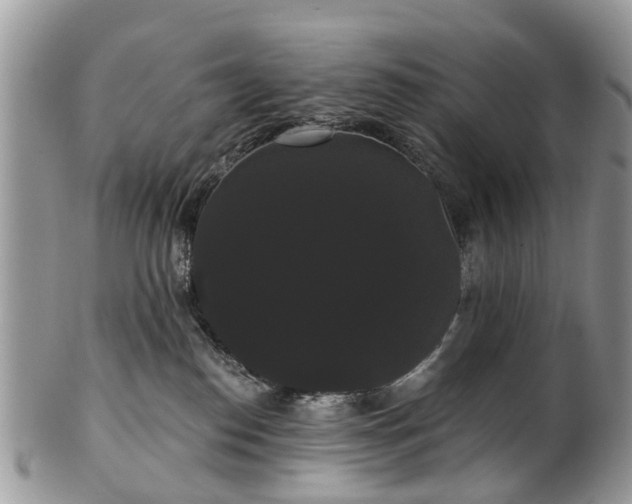 X0000101980186200807251242