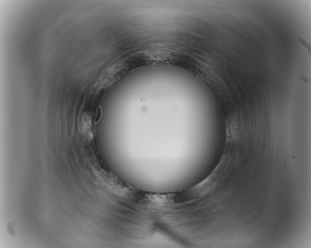 X0000101980187200807251242