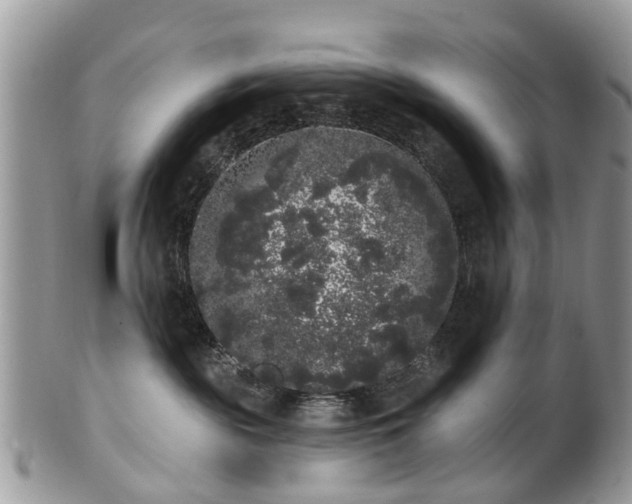 X0000101980189200807251242