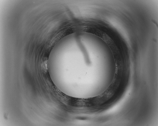 X0000101980190200807251242