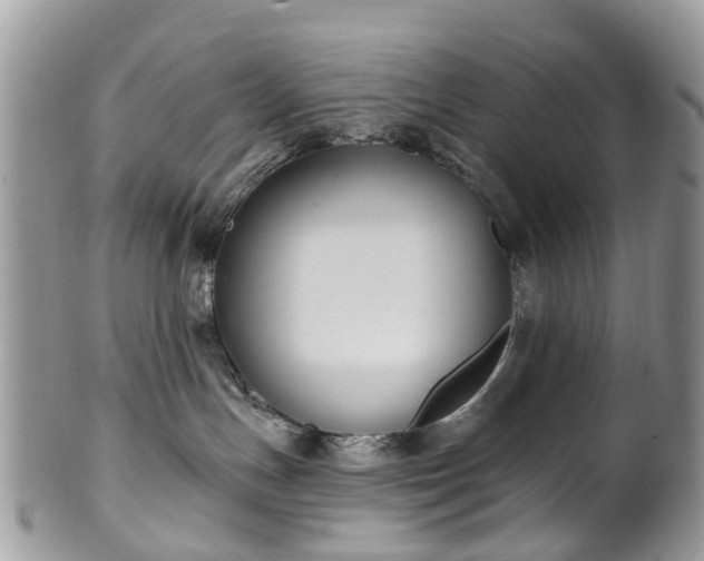 X0000101980191200807251242