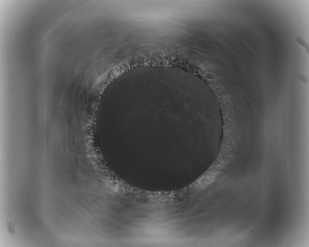 X0000101980192200807251242