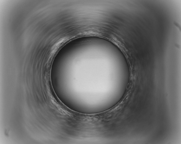 X0000101980193200807251241