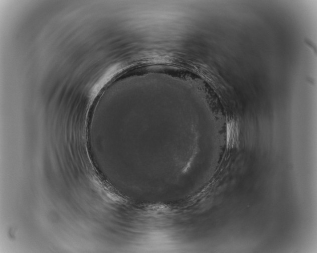 X0000101980195200807251241