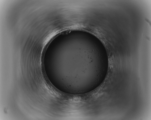 X0000101980196200807251241