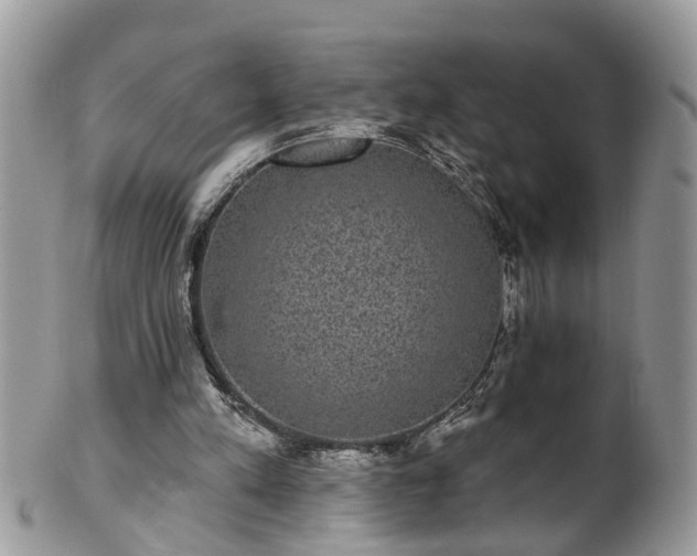 X0000101980197200807251241