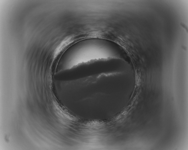 X0000101980198200807251241