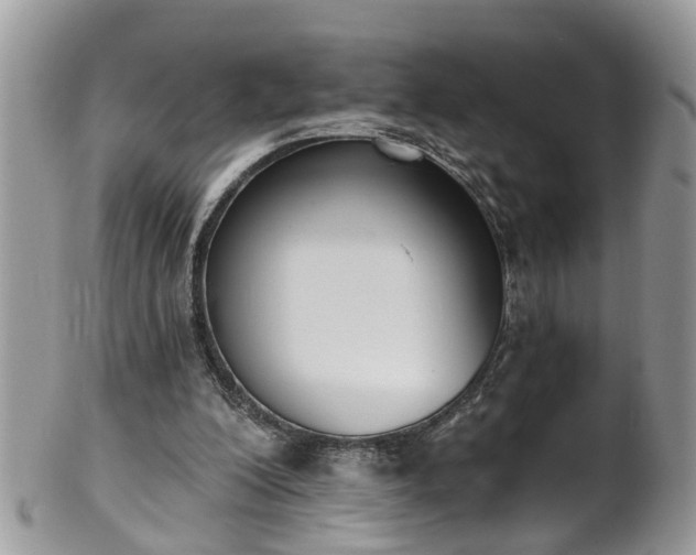 X0000101980200200807251241