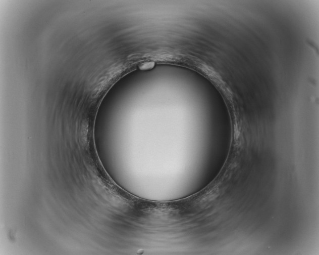 X0000101980201200807251241