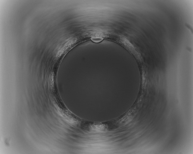 X0000101980202200807251241