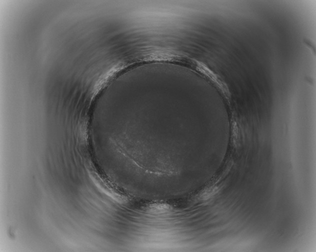 X0000101980203200807251241