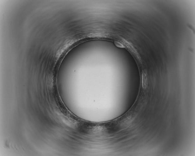 X0000101980204200807251241