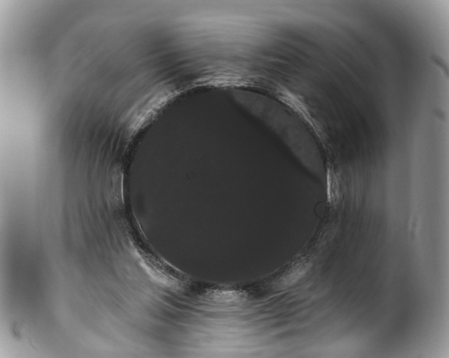 X0000101980205200807251241