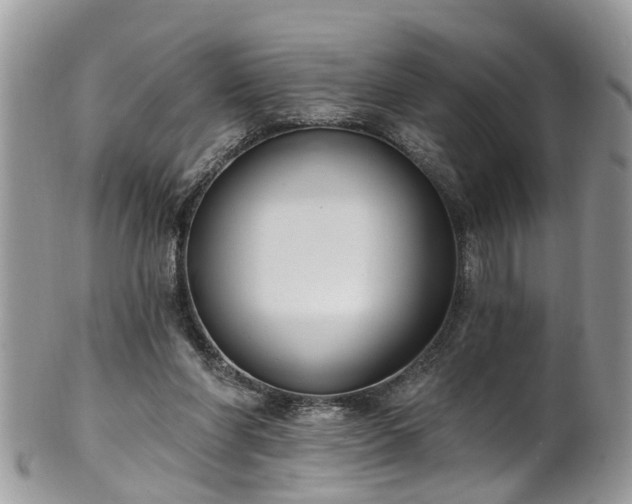 X0000101980206200807251241