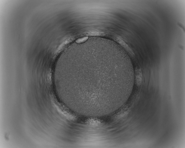 X0000101980207200807251241