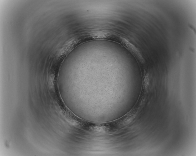 X0000101980209200807251241