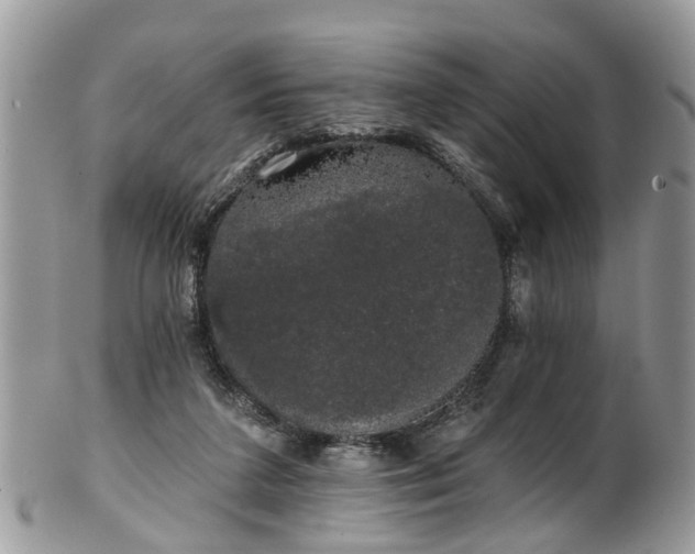 X0000101980211200807251241