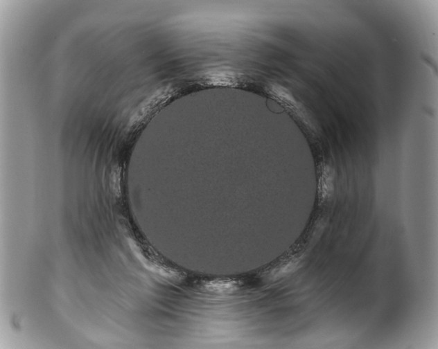 X0000101980213200807251241